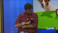 Pet Project: Kansas Humane Society to host Clear the Shelters this weekend