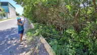 Le dan otro llegue al mangle del arroyo Jabalines, denuncian vecinos