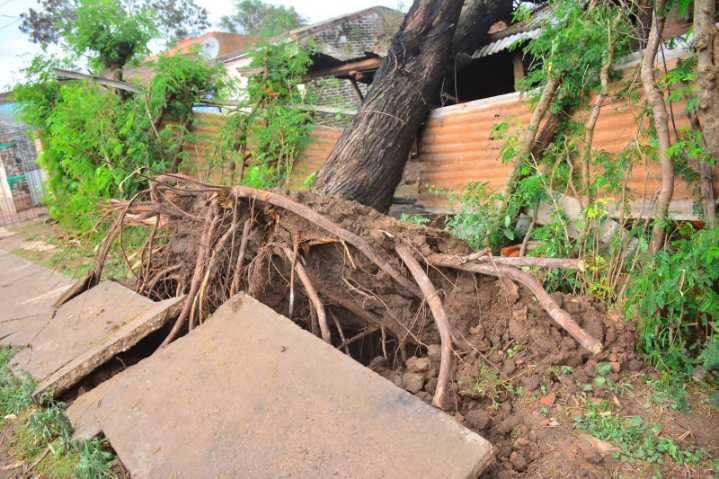 Rápido accionar del Municipio de Castelli tras el temporal que provocó destrozos en la ciudad