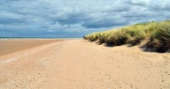 UK beachgoers make tragic discovery as stranded 'dolphin' turns out to be rare mammal