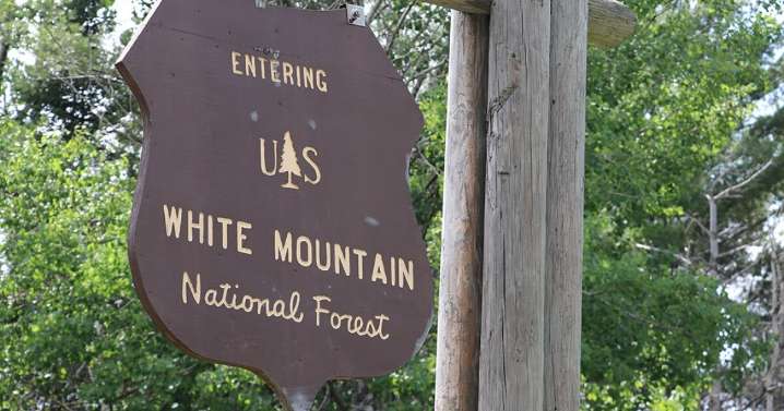 Ruling allows logging plans for WMNF to go forward