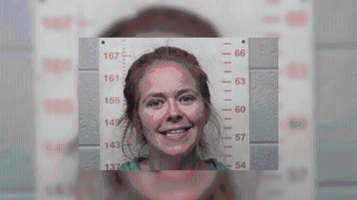 Polk County woman charged after 106 mph police chase with kids in van