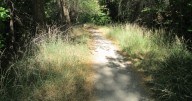 Utah Conservation Corps announces ambitious weed removal project