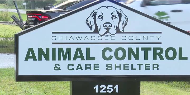 ‘No kill’ animal shelter in Owosso reopens after community effort