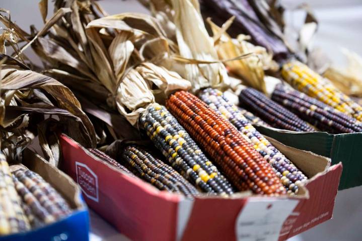 Butler Farm Show Results: Vegetables