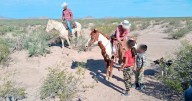 Localizan a hermanitos extraviados en serranía de Ascensión, Chihuahua; se encuentran sanos y salvos