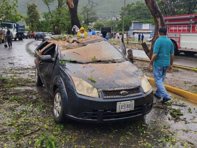 Caída de árboles, calles anegadas y apagones dejó fuerte lluvia en la zona metropolitana (+Fotos)