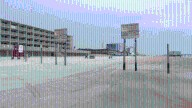 Hurricane Erin impacts Volusia turtle nests as patrol works to save survivors