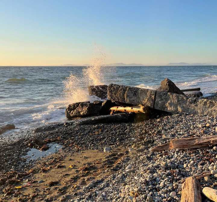 Whidbey dodges tsunami, prepares for future disaster