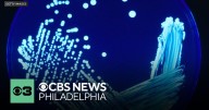 Legionella bacteria detected at Berks County, Pennsylvania facilities