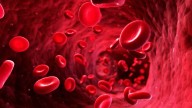 Descubren una variante de la hemoglobina que permitirá identificar dolencias hereditarias