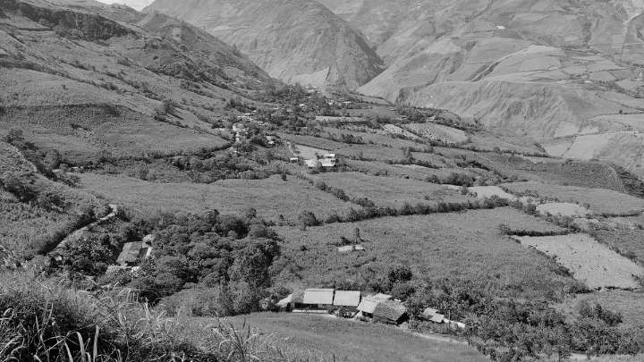Investigan hallazgo de tres cuerpos sin vida en zona rural de Consacá