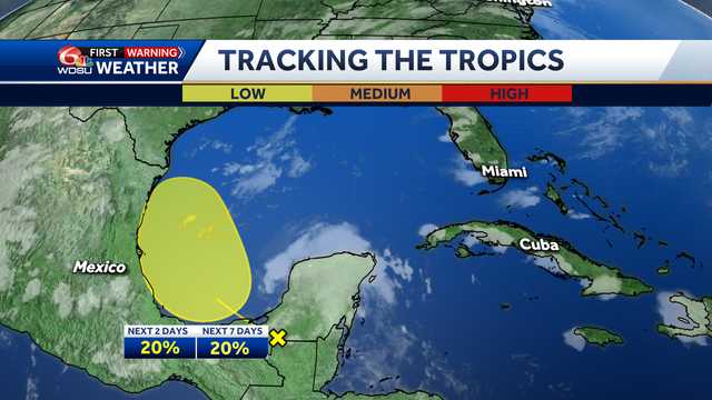 A tropical wave could form into a tropical system in the Gulf