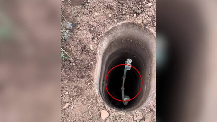 New York Rescuer Hears Strange Sounds From A Well—And Is Stunned When They Realize What It Is