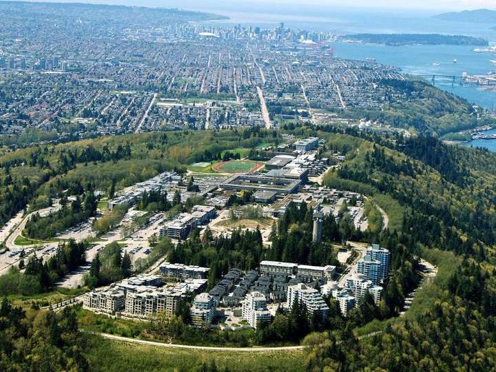 SFU professor says he didn't get tenure over views on diversity