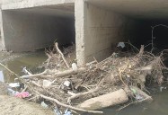 Comunidad pide retirar lodo y palizadas del canal pluvial