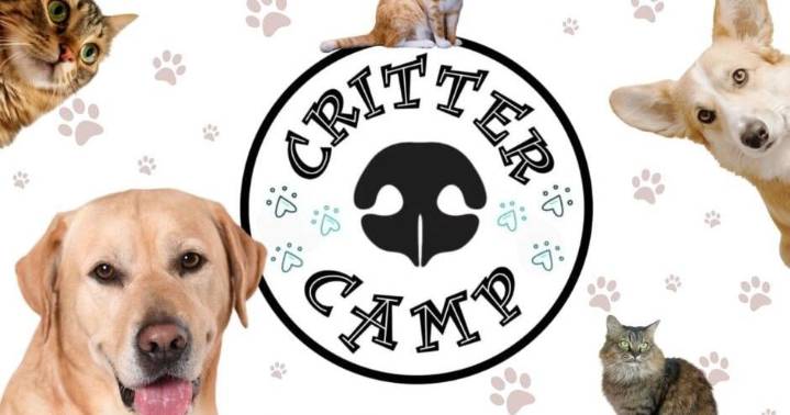 Warrick Humane Society announces return of 'Fall Critter Camp' after school program