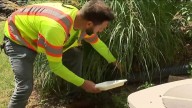 How to fight mosquitoes and ticks this summer