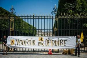 France adopts law upholding ban on controversial insecticide