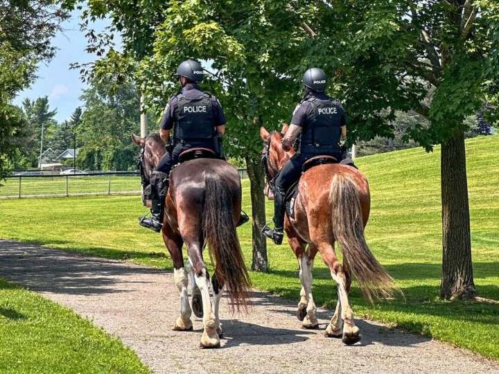 Ottawa Police take to social media to talk horse poop