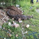 SE REGISTRÓ EN EL HOTEL DE RINCÓN DE GUAYABITOS GIGANTE COCODRILO