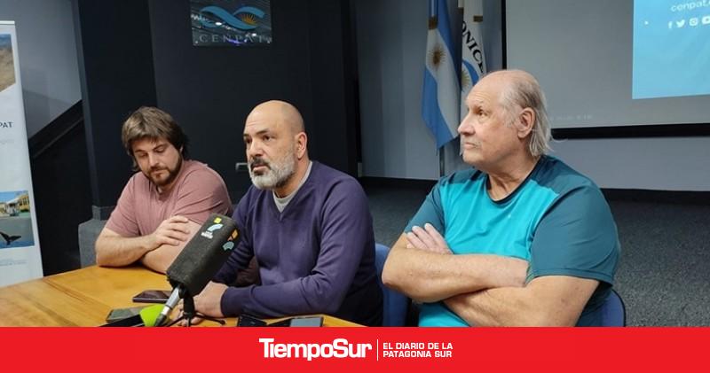 CESIMAR-CONICET Científicos del CENPAT registraron un record de ejemplares de ballena franca austral