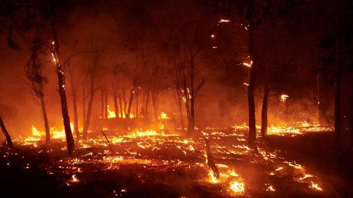 La península ibérica sufre decenas de incendios fuera de control