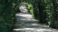 Franklin defers decision on Hillview Lane until November