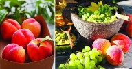 Celebrate the peach’s bumper crop in the valley