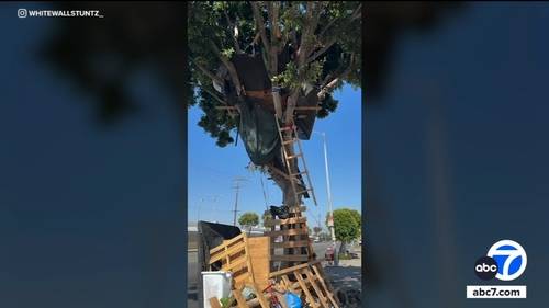 Homeless man builds three-story treehouse in South LA that was later torn down by authorities