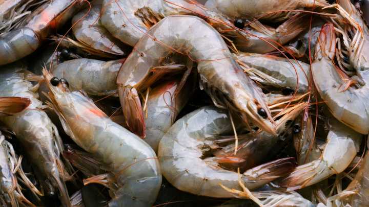 FDA: Walmart frozen shrimp possibly contaminated by radioactive material