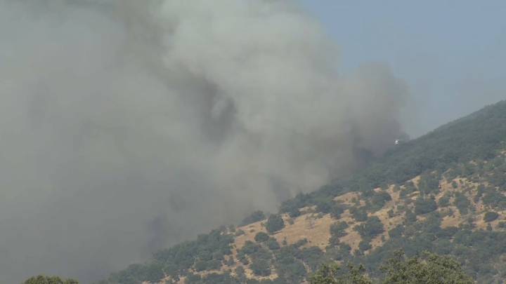 El incendio de Jarilla afecta a un perímetro de 58 kilómetros y ha quemado 4.500 hectáreas More