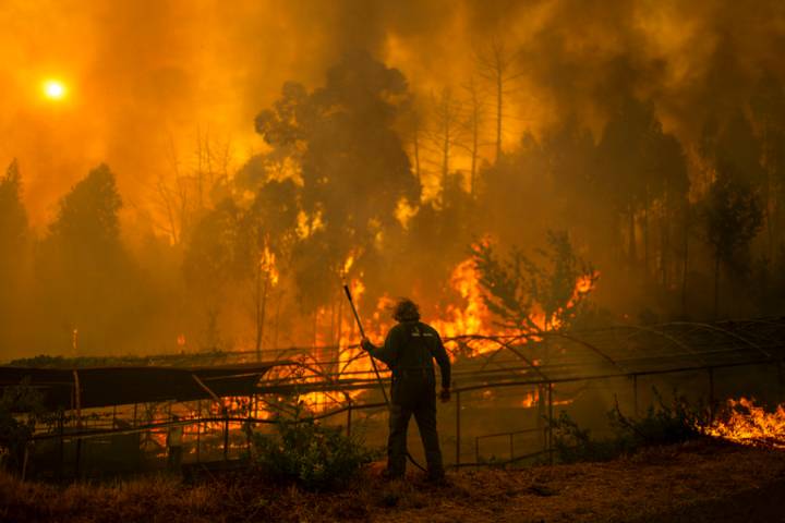 Una ola de incendios amenaza miles de hogares en la costa oeste de EE.UU.
