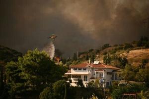 Greek firefighters make progress against wildfires