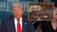 Trump Vows To Drastically Reduce The Number Of Criminals In Washington By Sending Congress Home