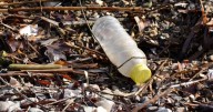 Convocatoria abierta: Programa busca soluciones innovadoras para apurar la circularidad de plásticos en América Latina