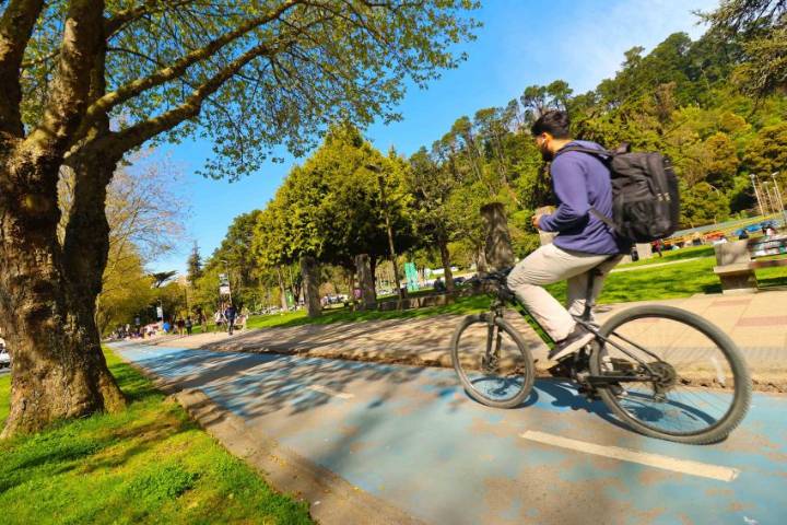 Preparan proyecto de conservación del Parque Ecuador: considerarán su carácter inclusivo y de acceso universal
