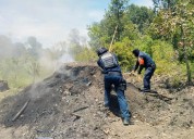 SSP Puebla destruye cinco hornos clandestinos para proteger bosques