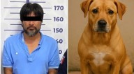 Perrita Kia muere defendiendo a su dueña de un ataque con cu...