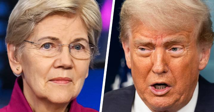 How Elizabeth Warren triggered Donald Trump
