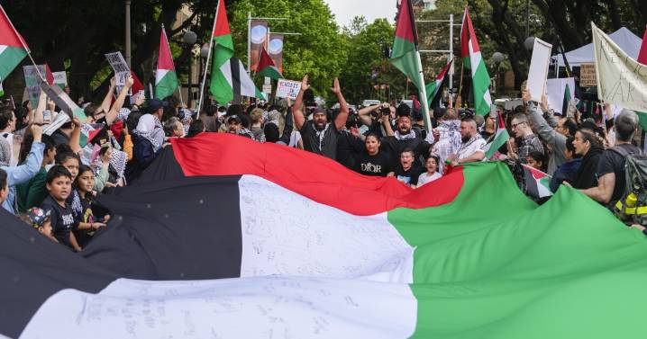 Australia will recognize a Palestinian state, Prime Minister Albanese says