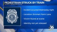 Pedestrian struck and killed by train