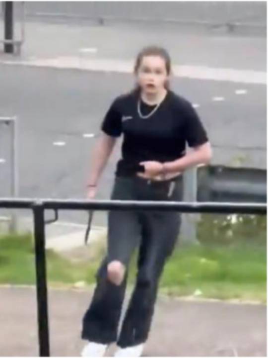 Ella es la joven a la que todo internet ama luego de usar un machete para defender a su hermana de un abusador