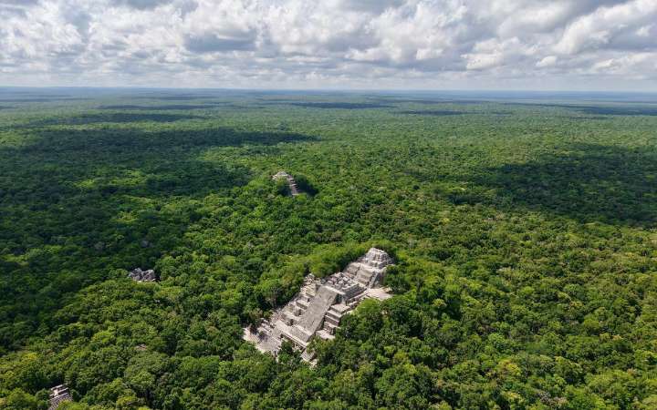 Corredor de la Gran Selva Maya protegerá el 12% de la biodiversidad mundial: Alicia Bárcena