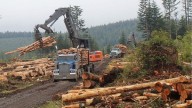 Parts of rural WA pinched by lapse in federal payments to offset lost logging revenue