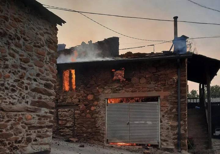 «Son pirómanos actuando en León de forma coordinada, es terrorismo ambiental»