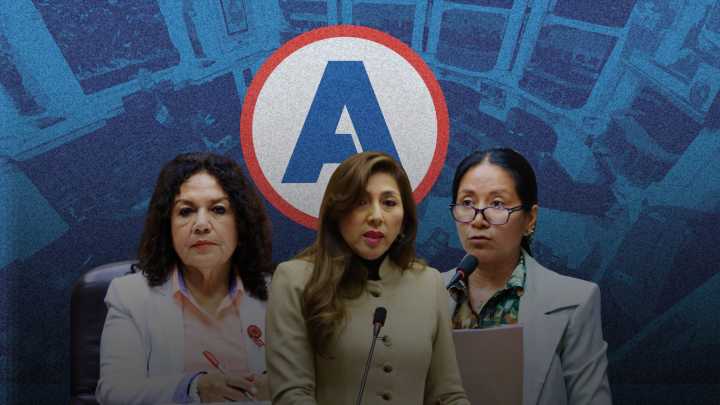 Subcomisión de APP archiva y suspende 28 denuncias a Dina Boluarte