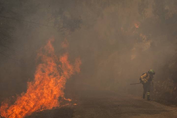 Última hora de los incendios en España, en directo | 31.130 personas han sido evacuadas por los incendios desde el pasado 12 de agosto