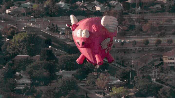 Albuquerque's flying pig 'Ham-Let' up for sale as longtime hot air balloon pilot retires