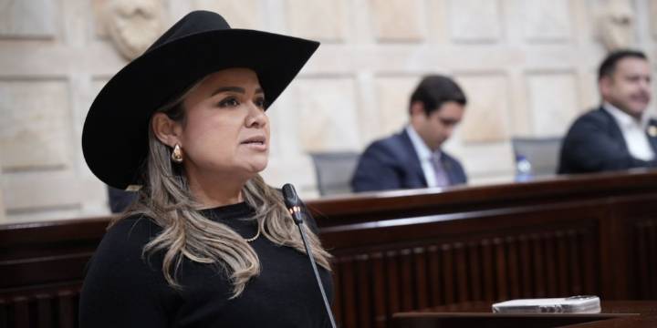 Lina Garrido radicó una proposición para que el Estado reconozca al cartel de los Soles como una organización criminal: “No nos van a callar”